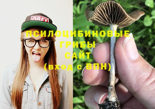 бутират Приозерск