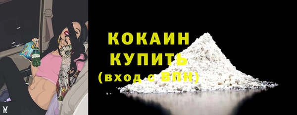 дурь Бронницы