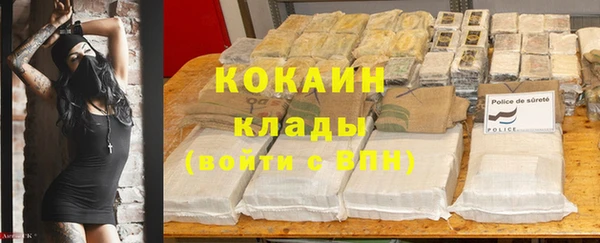 ПСИЛОЦИБИНОВЫЕ ГРИБЫ Бородино
