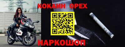 индика Кандалакша