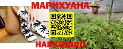индика Кандалакша