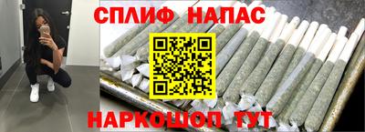 стаф Камышлов