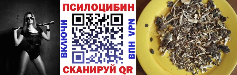 что такое наркотик  Уфа  Галлюциногенные грибы Magic Shrooms 