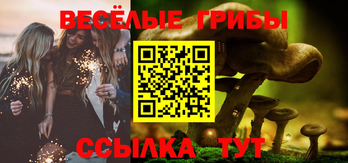 Псилоцибиновые грибы Psilocybine cubensis Уфа